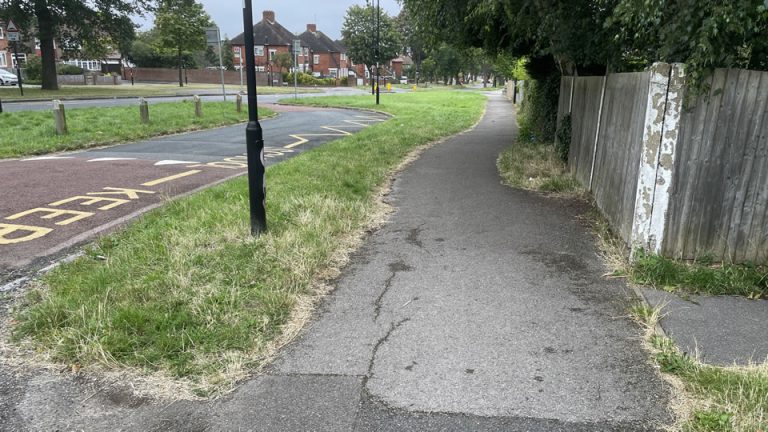 Bridle Road - Shirley South - Total Mess