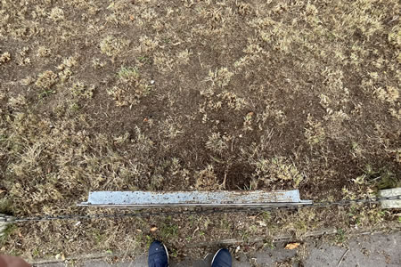 The Environmental Impact on Air Quality within neglected green spaces is huge.