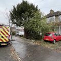 Hedge Trimming